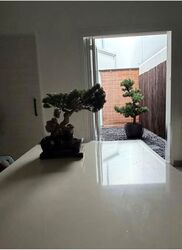 Niven Road (D9), Detached #569930621